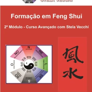 E-book#2 - Curso Avançado - Feng Shui Lógico - Hemisfério SUL em PDF