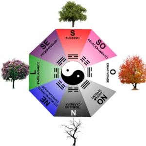 Hemisfério Norte - E-book#1 - Curso Básico - Feng Shui Lógico em PDF